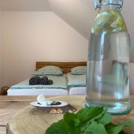 Familie Mettler Διαμέρισμα Haltingen Εξωτερικό φωτογραφία